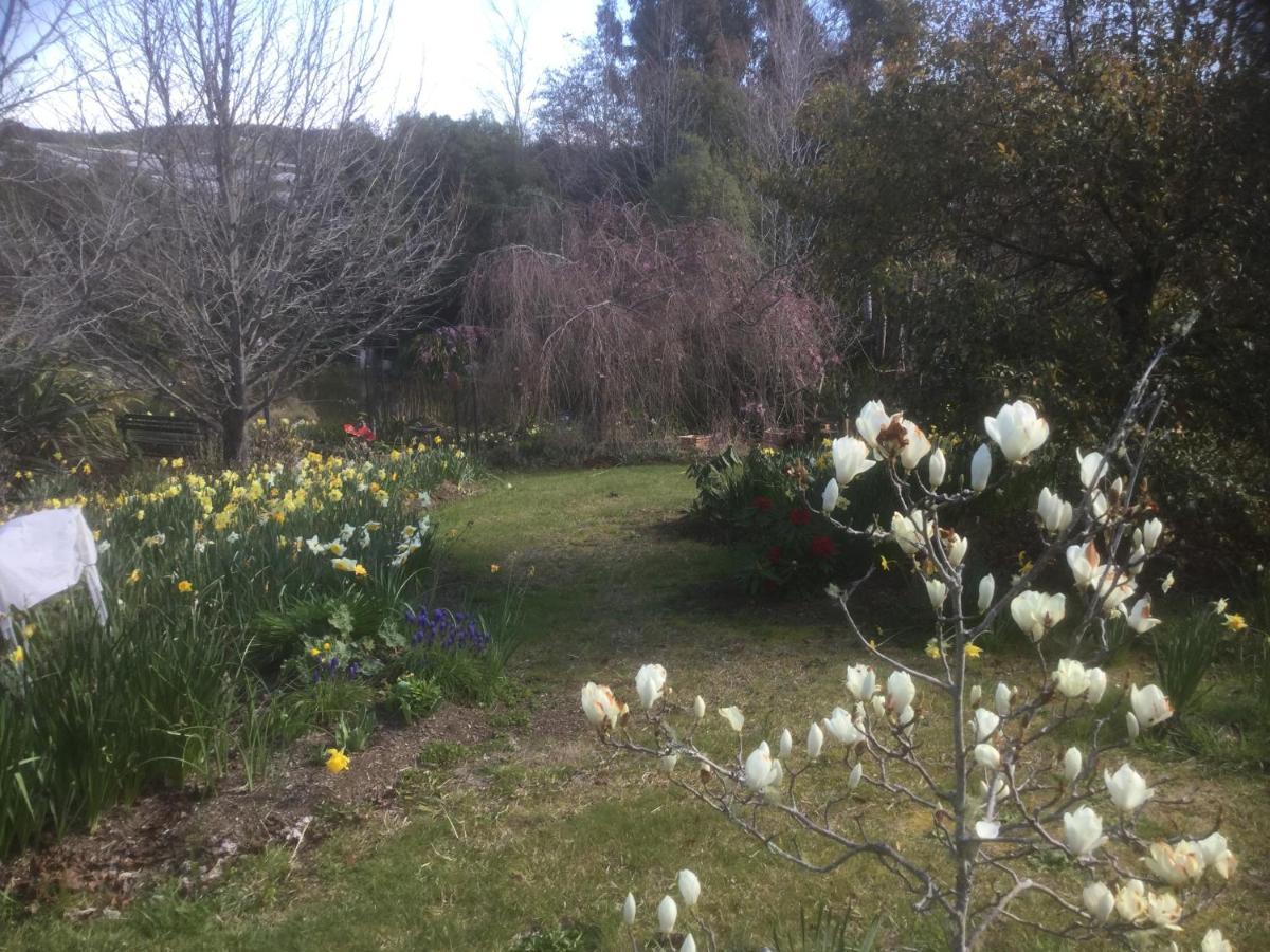 Mapua Garden B & B Экстерьер фото